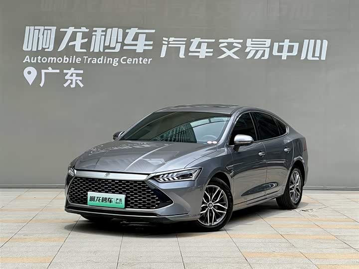 2023 Qin PLUS 2023 Champion Edition DM-i 55KM Transcendent Type