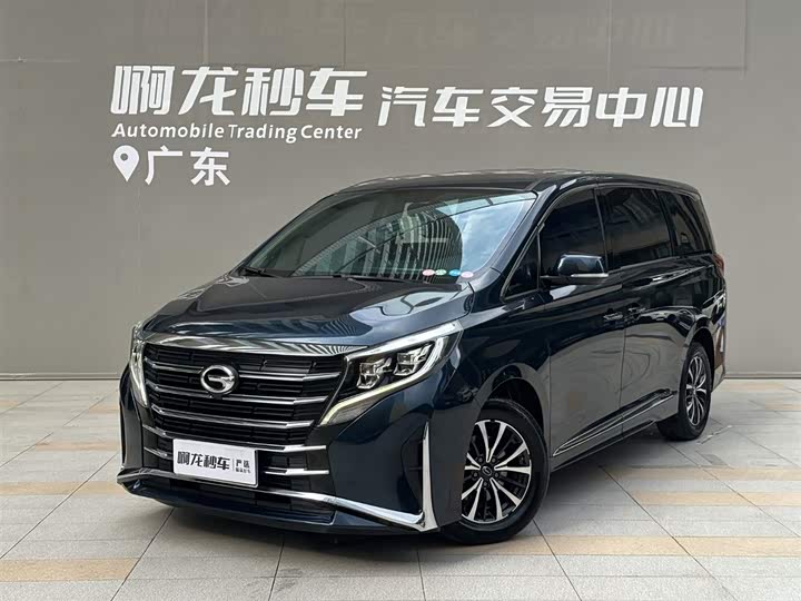 2021 Trumpchi M8 2021 Lead Show Series 390T Exclusive Edition