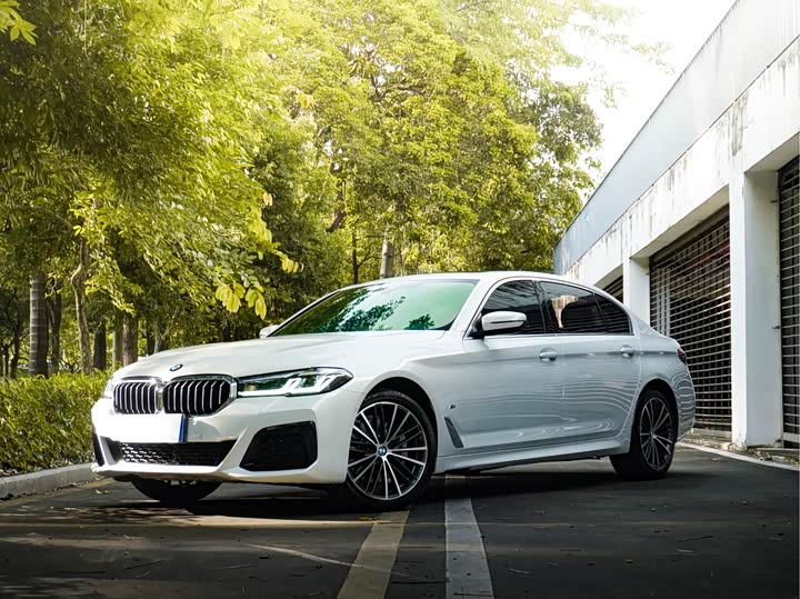 BMW 5 Series 2021 530Li Leading M Sports Package