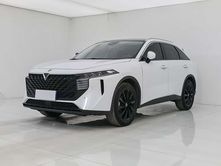 Venucia V 2022 260T Dark Horse Edition·King of Heaven