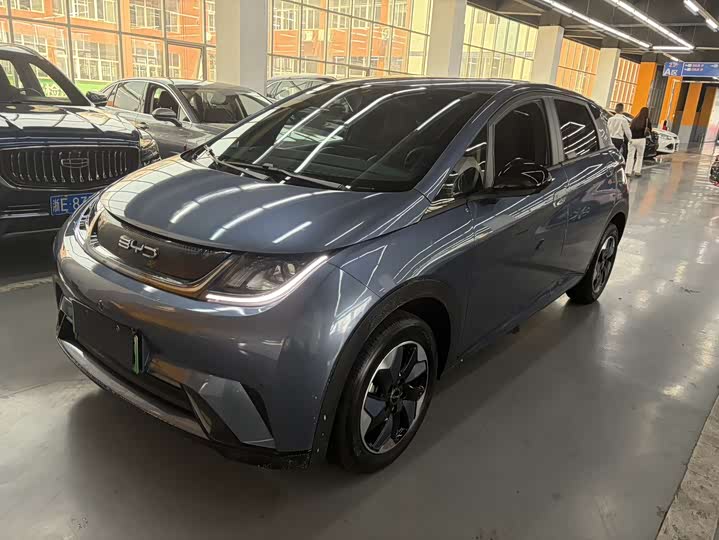 2025 Dolphin 2025 420km Free Edition