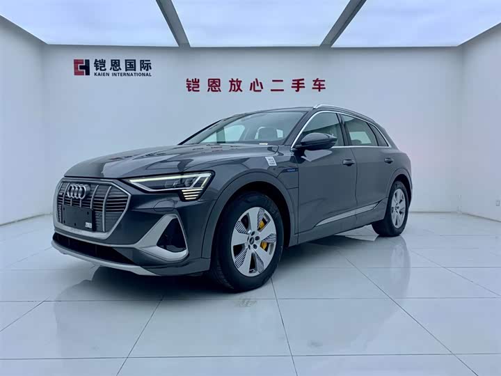 Audi e-tron 2021 50 quattro luxury model