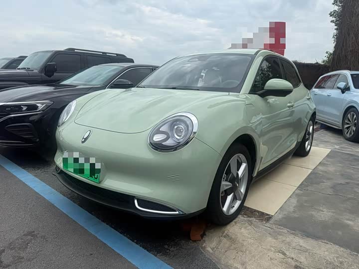 Euler Good Cat 2023 model 401km standard battery life luxury model ternary lithium