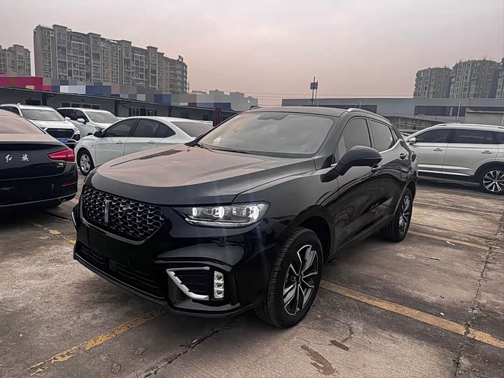 2021 Wei brand VV5 2020 model 1.5T two-wheel drive trend pioneer