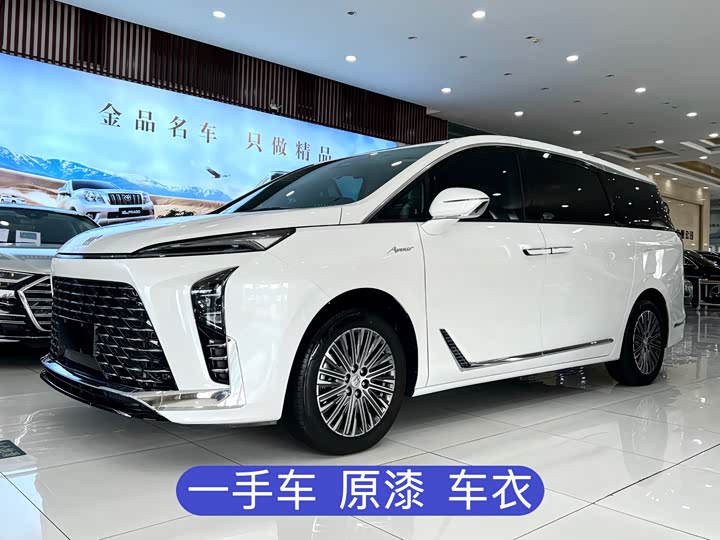 2025 Buick GL8 New Energy 2024 Lu Zun Exclusive Edition 7 seats