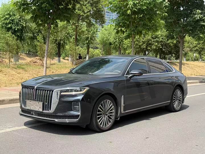 Hongqi H9 2020 2.0T Zhilian Qichang Edition