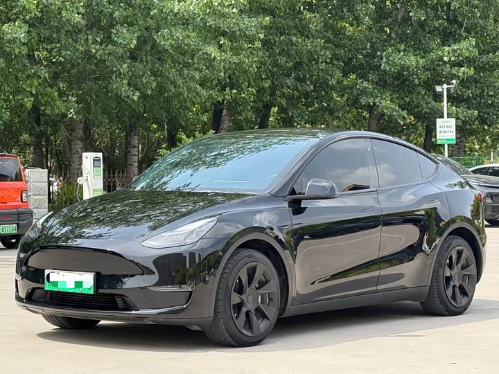 Model Y 2021 standard range rear-wheel drive version