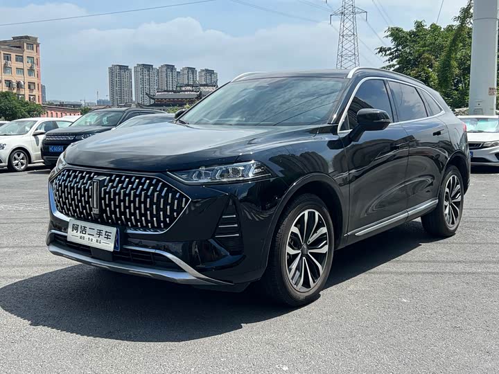 2021 Wei brand Mocha 2021 2.0T two-wheel drive special edition