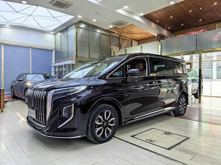 2023 Hongqi HQ9 2023 2.0T Zhilian Qiling Edition