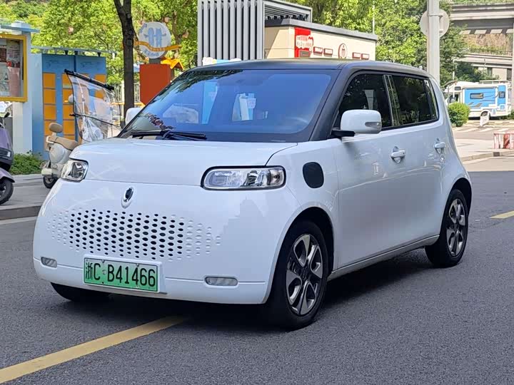 2021 Euler White Cat 2022 upgraded version 305km luxury model ternary lithium