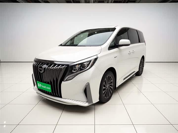 2021 Trumpchi M8 2021 Master Series 390T Extreme Edition