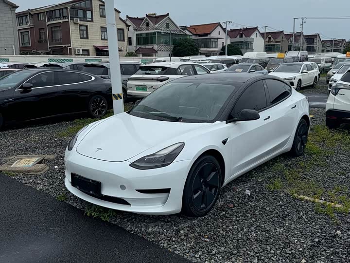 2021 Model 3 2020 Standard Range Rear Drive Upgraded Version