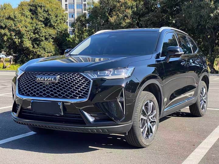 2024 Haval H6 2024 1.5T two-wheel drive classic version