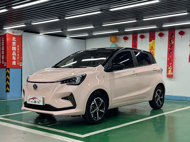2023 Changan Benben E-Star 2022 Qingxin Edition Colorful Edition Lithium Iron Phosphate