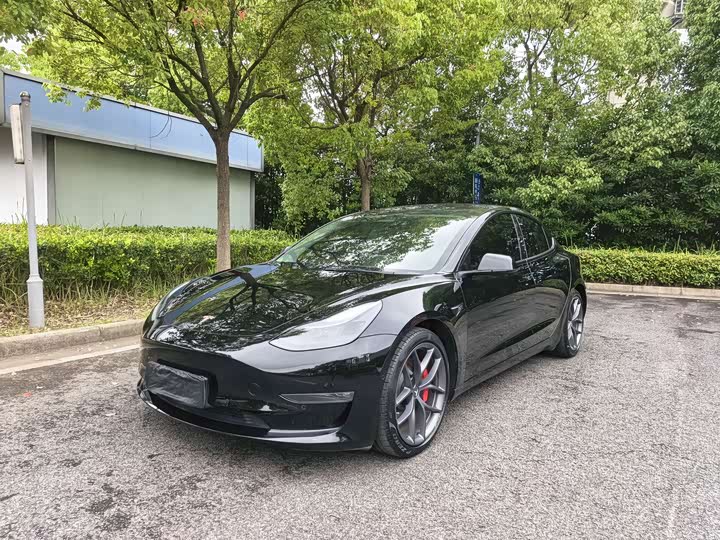 2021 Model 3 2021 Performance high-performance all-wheel drive version 3D6