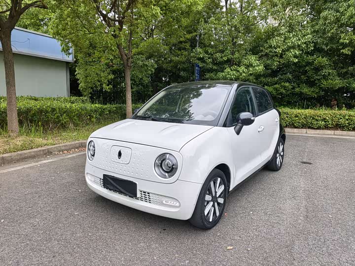 2021 Euler Black Cat 2021 405km long range model