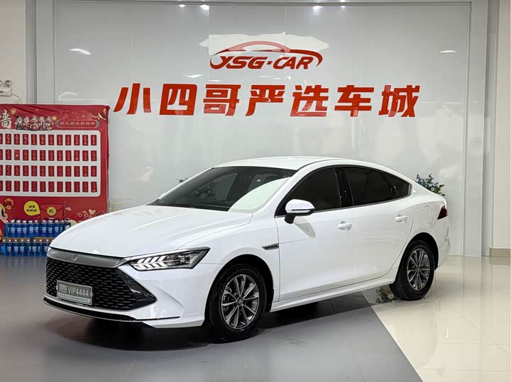 2024 Qin PLUS 2024 Honor Edition DM-i 55KM Leading Type