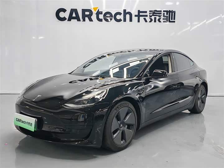 Model 3 2021 standard range rear drive upgraded version 3D6