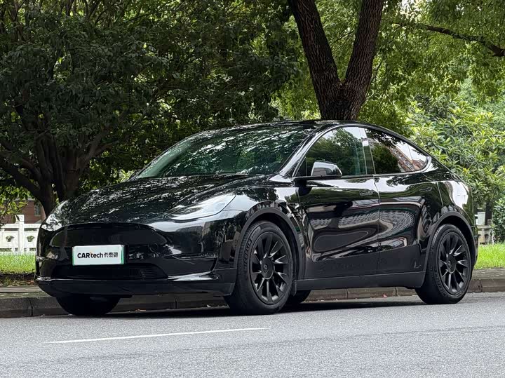 Model Y 2021 standard range rear-wheel drive version