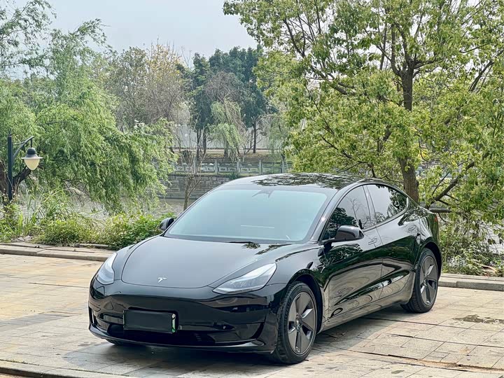 Model 3 2022 rear-wheel drive version