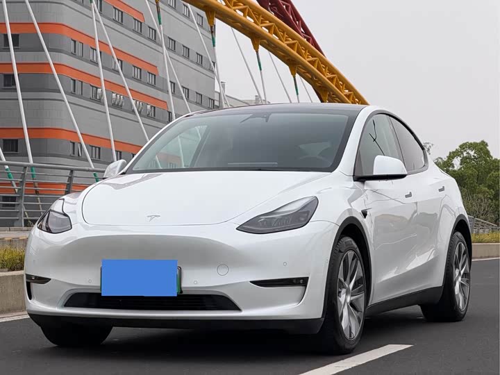 Model Y 2021 standard range rear-wheel drive version