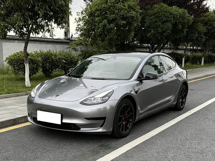 Model 3 2022 rear-wheel drive version