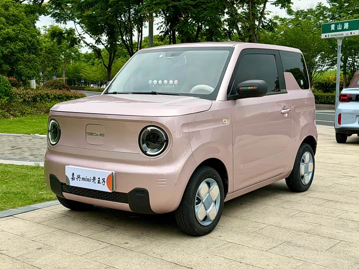 Panda 2023 Panda mini 200km endurance bear