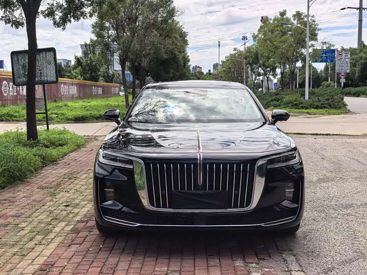 Hongqi H9 2020 2.0T Zhilian Qichang Edition