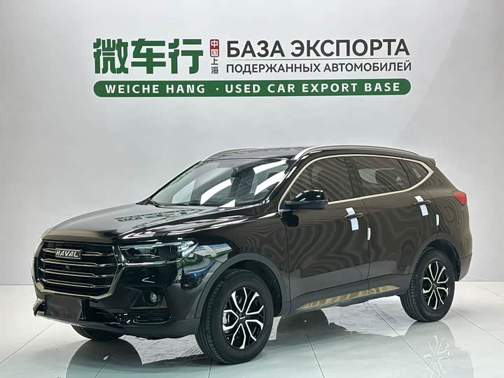 Haval H6 2021 Guochao Edition 1.5T Automatic Urban Edition