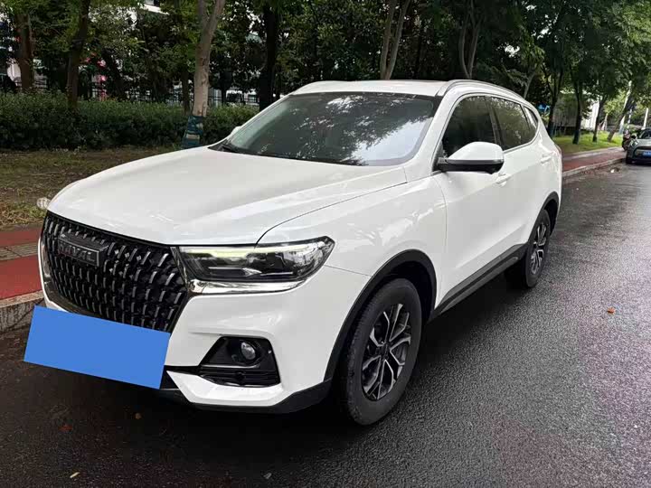 Haval H6 2023 National Fashion Edition 1.5T Automatic Urban Edition