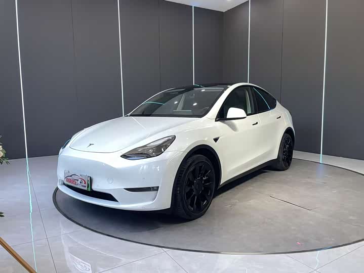Model Y 2021 long-range all-wheel drive version 3D7