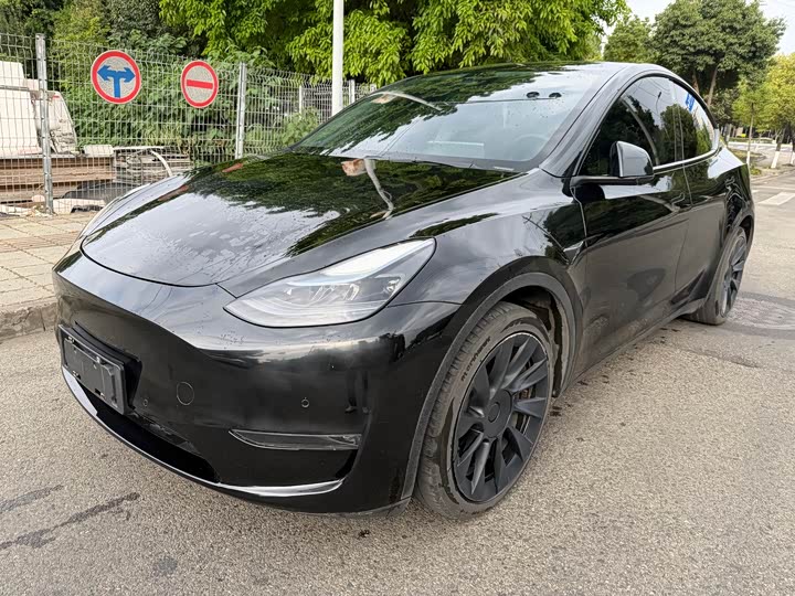 Model Y 2021 standard range rear-wheel drive version