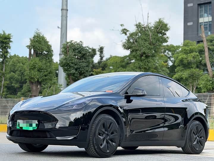 Model Y 2023 rear-wheel drive version
