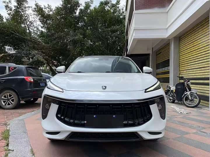 Fengxing T5 EVO 2021 1.5TD DCT Platinum Edition Heat Wave