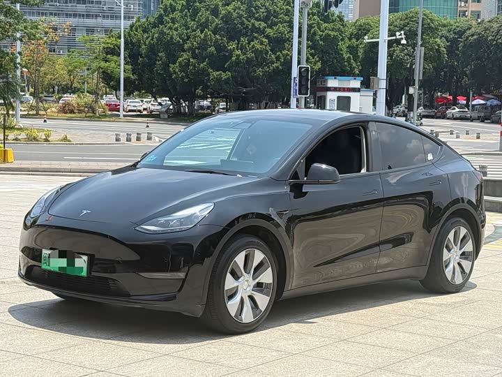 Model Y 2021 standard range rear-wheel drive version