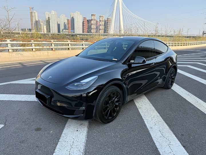Model Y 2021 standard range rear-wheel drive version