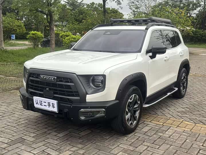 Havaldog 2022 2.0T DCT four-wheel drive Chinese pastoral dog hunting version