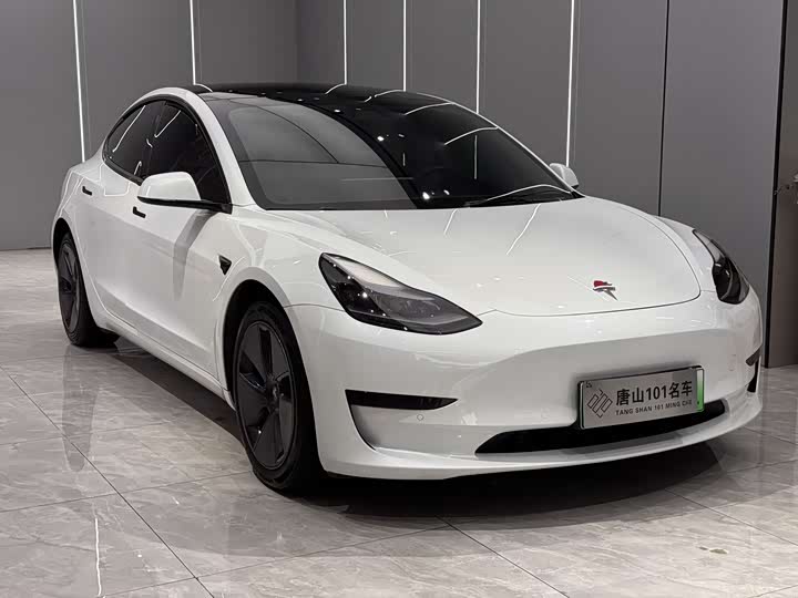 Model 3 2021 standard range rear drive upgraded version 3D6