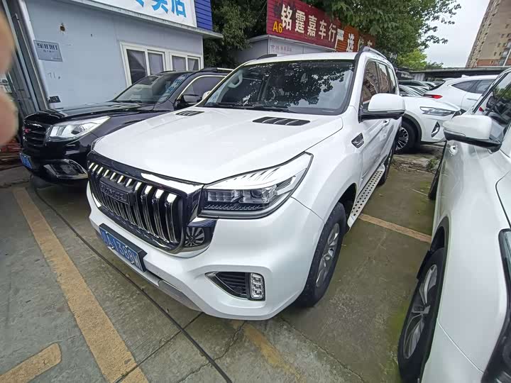 Haval H9 2022 2.0T gasoline four-wheel drive comfort model 7 seats