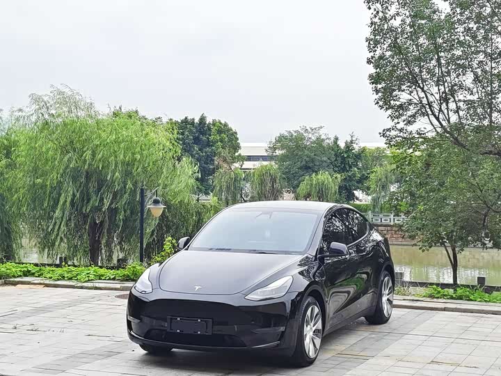 Model Y 2021 standard range rear-wheel drive version