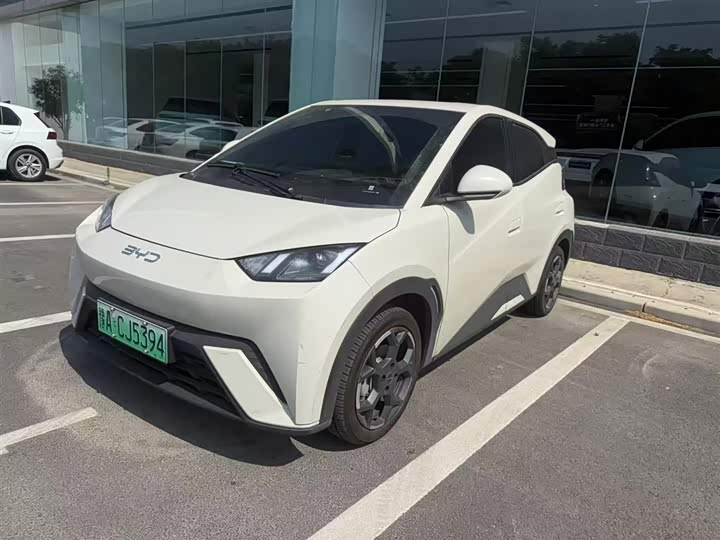 Seagull 2025 305km Free Edition