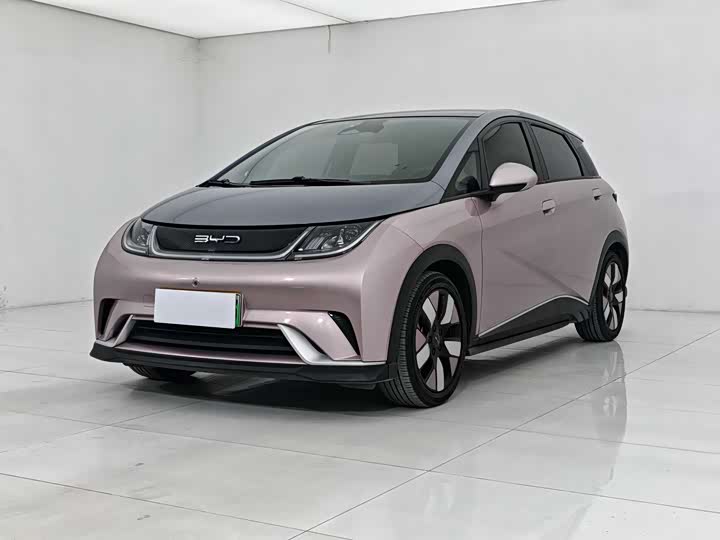 Dolphin 2021 401km Knight Edition