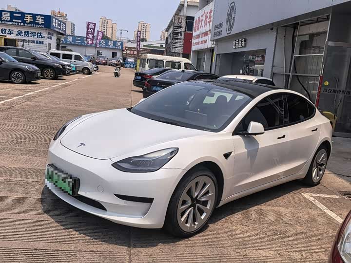 Model 3 2021 facelift standard range rear drive upgraded version 3D1