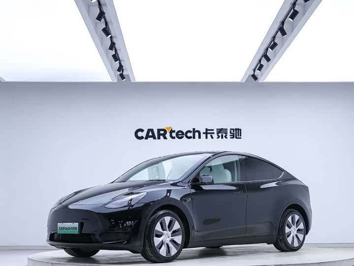 Model Y 2021 standard range rear-wheel drive version
