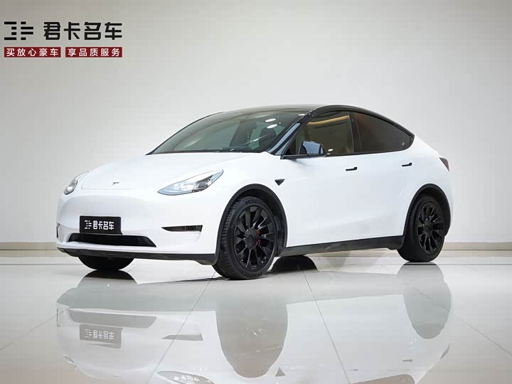 Model Y 2021 standard range rear-wheel drive version