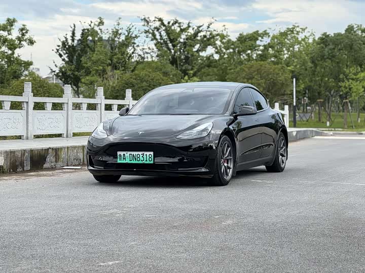 Model 3 2022 rear-wheel drive version