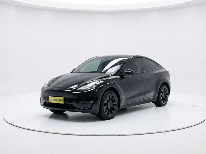 Model Y 2021 standard range rear-wheel drive version