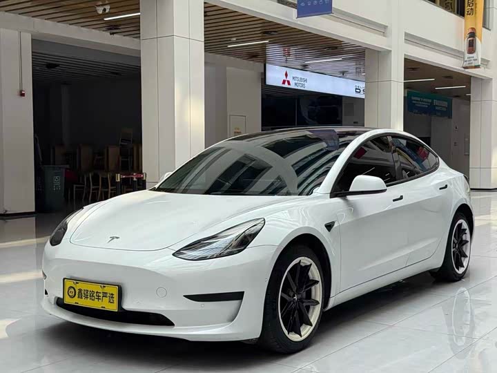 Model 3 2021 standard range rear drive upgraded version 3D6
