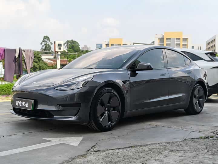Model 3 2021 standard range rear drive upgraded version 3D6