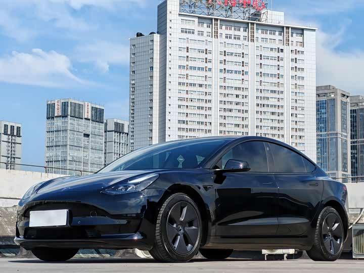 Model 3 2022 rear-wheel drive version